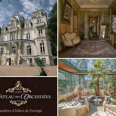 سوموور Chateau Des Orchidees En Val De Loire المظهر الخارجي الصورة