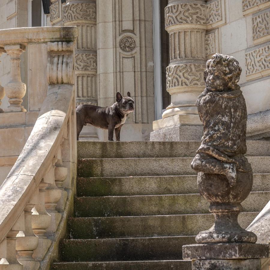 سوموور Chateau Des Orchidees En Val De Loire المظهر الخارجي الصورة