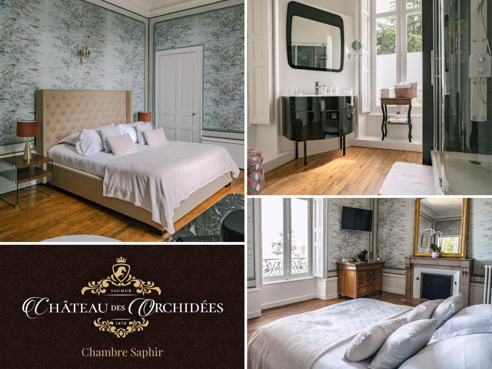 سوموور Chateau Des Orchidees En Val De Loire المظهر الخارجي الصورة