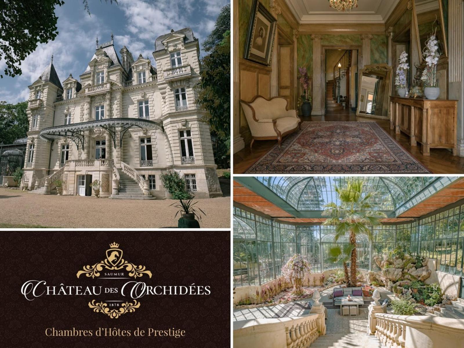 سوموور Chateau Des Orchidees En Val De Loire المظهر الخارجي الصورة