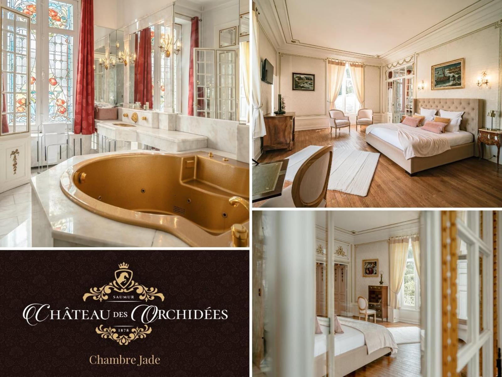 سوموور Chateau Des Orchidees En Val De Loire المظهر الخارجي الصورة